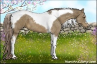 Horse Color:Chocolate Palomino Tobiano 