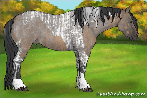 Horse Color:Bay Dun Tobiano and Grullo Roan Tobiano