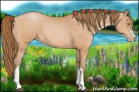 Horse Color:Bay Pearl 