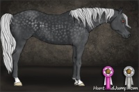 Horse Color:Silver Black Chinchilla 