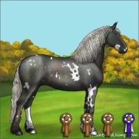 Horse Color:White Spotted Liver Chestnut 