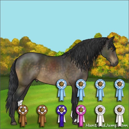 Horse Color:Brown Mushroom 