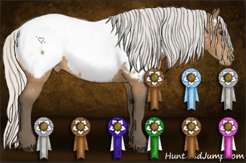 Horse Color:Silver Buckskin Appaloosa 