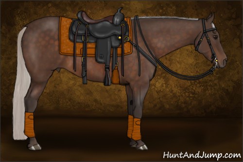 Horse Color:Silver Brown Sabino Rabicano 