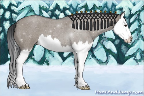 Horse Color:Grullo Roan Splash 