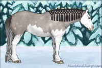 Horse Color:Grullo Roan Splash 