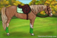 Horse Color:Chestnut and Chestnut