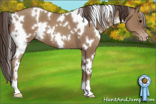 Horse Color:White Spotted Classic Champagne