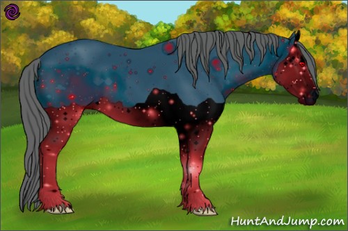 Horse Color:ERROR: UNKNOWN ANOMALY