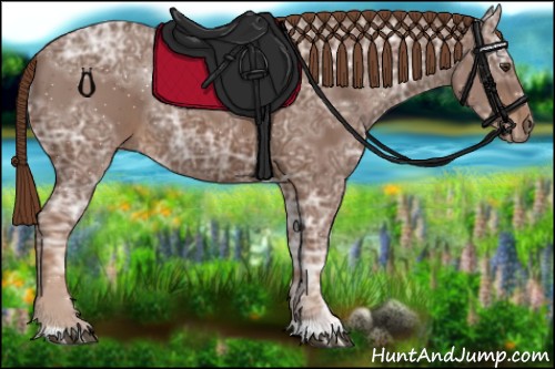 Horse Color:Chestnut Ice 