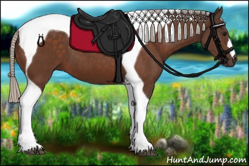 Horse Color:Silver Bay Tobiano 