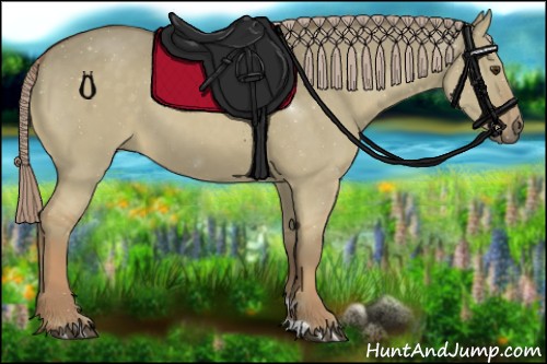 Horse Color:Chocolate Palomino Dun 