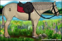 Horse Color:Chocolate Palomino Dun 