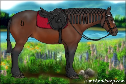 Horse Color:Bay 