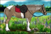 Horse Color:Chocolate Palomino Tobiano 