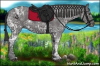 Horse Color:Smoky Black Ice 