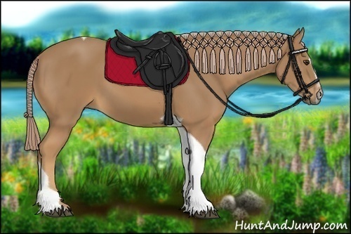 Horse Color:Palomino Sabino Tobiano 