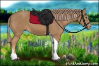 Horse Color:Palomino Sabino Tobiano