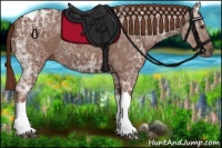 Horse Color:Chestnut Ice Tobiano 