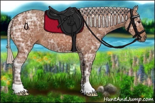 Horse Color:Silver Bay Ice 