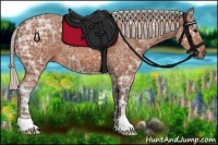Horse Color:Silver Bay Ice 