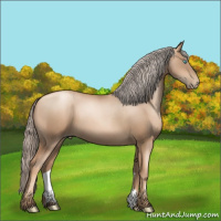Horse Color:Gray Gold Cream Champagne Pearl