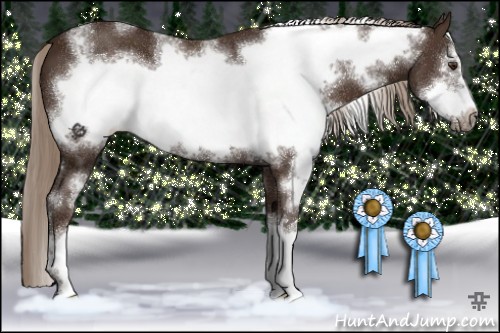 Horse Color:White Spotted Liver Chestnut Frame