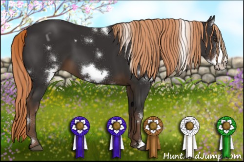 Horse Color:White Spotted Liver Chestnut Frame