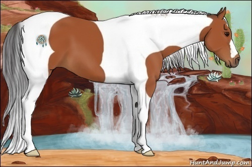 Horse Color:Bay Tobiano 