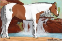 Horse Color:Bay Tobiano 