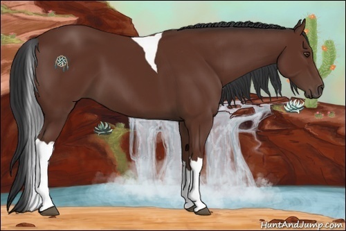 Horse Color:Bay Tobiano
