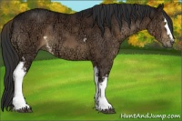 Horse Color:White Spotted Liver Chestnut Ice