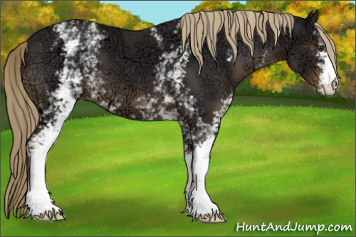 Horse Color:White Spotted Liver Chestnut Ice 