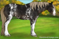 Horse Color:White Spotted Liver Chestnut Ice