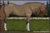 Horse Color:Liver Red Dun 