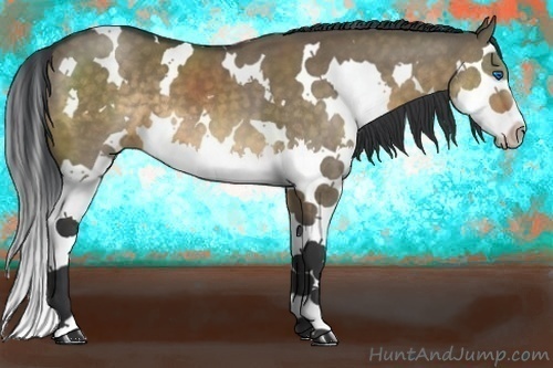 Horse Color:White Spotted Buckskin Dun Splash 
