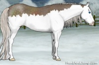 Horse Color:Silver Blue Roan Splash
