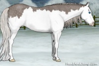 Horse Color:Silver Blue Roan Splash