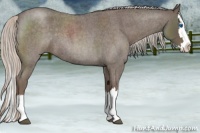 Horse Color:Silver Blue Roan Splash 