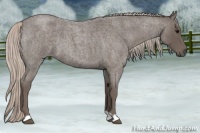 Horse Color:Silver Blue Roan 