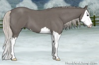 Horse Color:Silver Blue Roan Splash 