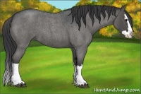 Horse Color:Blue Roan Sabino Splash