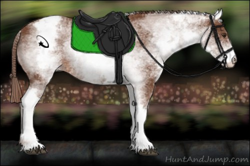 Horse Color:White Spotted Chestnut Varnish 