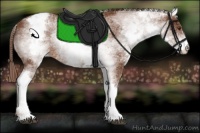 Horse Color:White Spotted Chestnut Varnish 