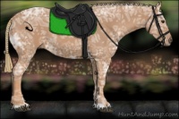 Horse Color:Chestnut Ice