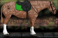 Horse Color:Chestnut Ice 