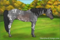 Horse Color:Brown Ice 