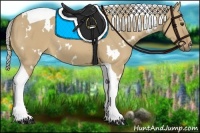 Horse Color:White Spotted Palomino Dun Tobiano 