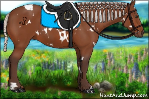 Horse Color:White Spotted Silver Bay 