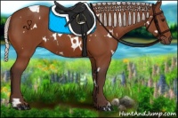 Horse Color:White Spotted Silver Bay 